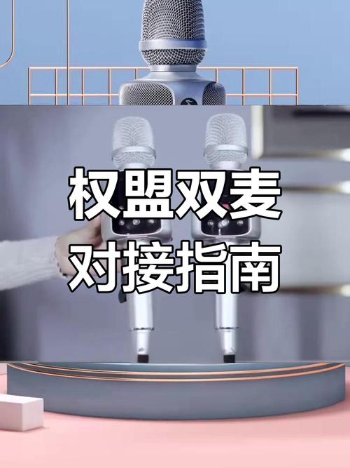 电脑上怎么连麦说话截图3