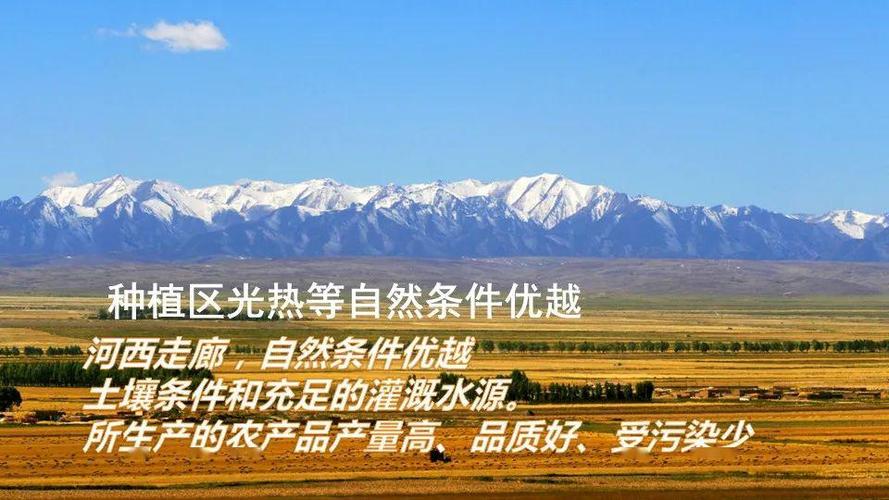 优农优品官网网址截图3