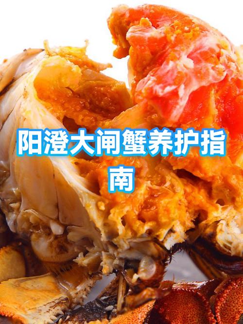 螃蟹一般保存几天