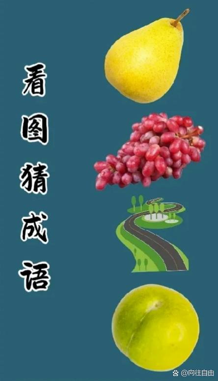 你说我猜水果游戏 你说我猜水果游戏