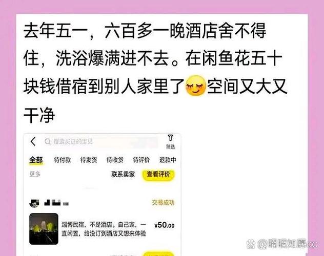 闲鱼上的海盗船换新