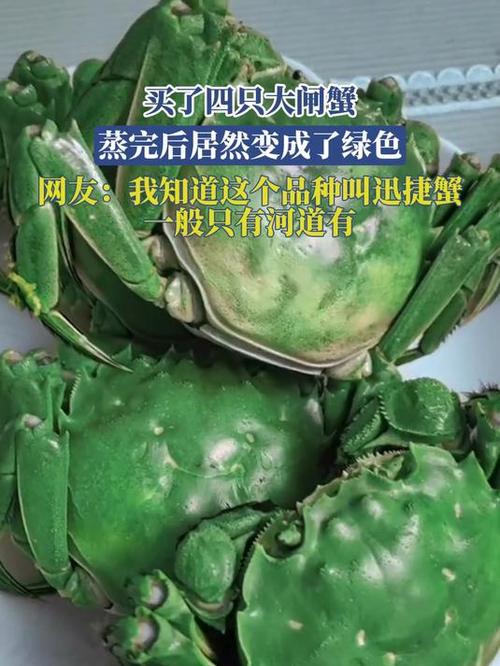 螃蟹里面是绿色的怎么回事