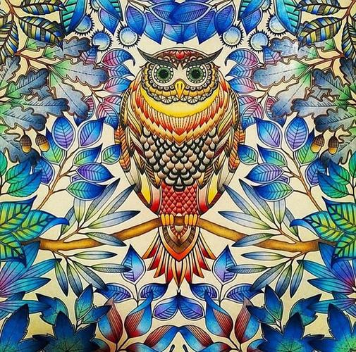 秘密花园的彩铅涂色画技巧