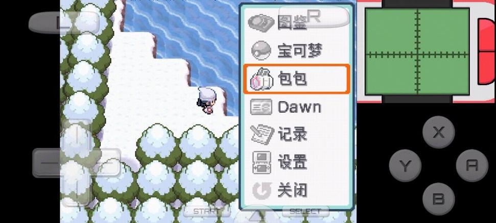 口袋妖怪白金练级地点截图3