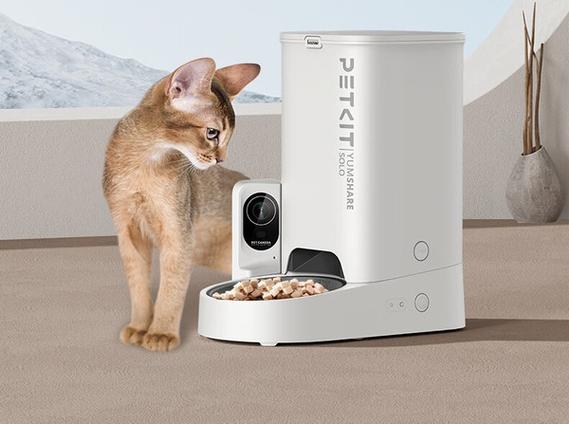 猫咪自动喂食器 猫咪自动喂食器