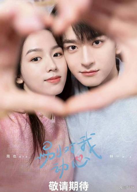 电视免费观看电视剧大全在线观看