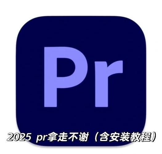 pr汉化补丁安装教程