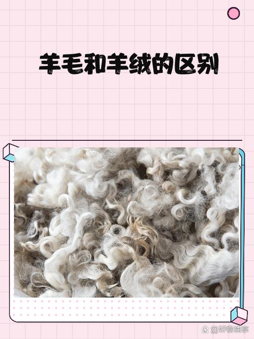 绵羊毛100%好吗截图3