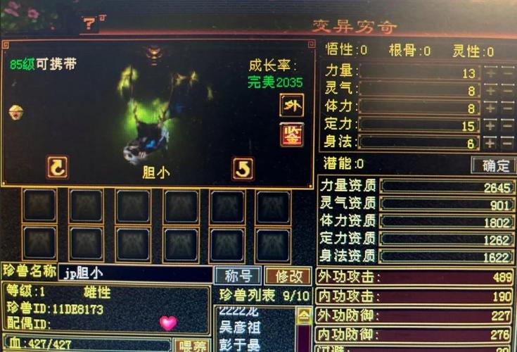 天龙八部宠物附体截图2