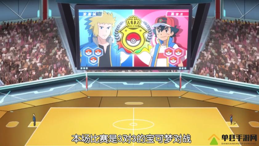 宝可梦有几种场地截图3