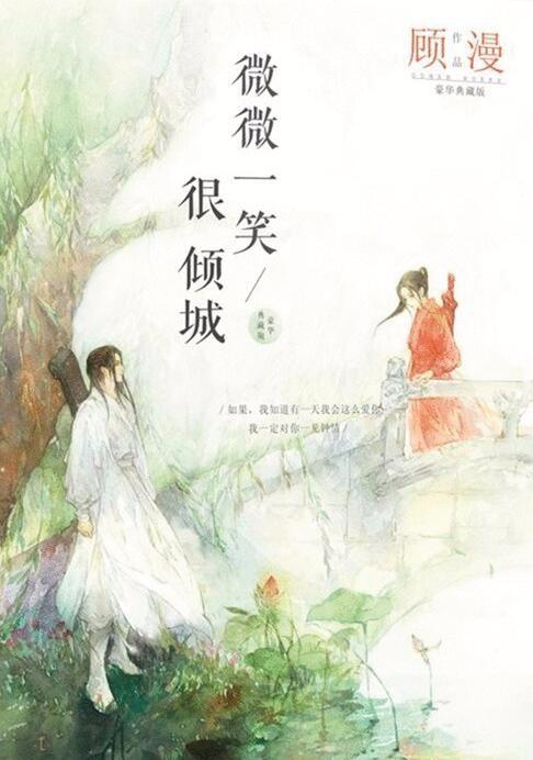 关于微微一笑很倾城的小说