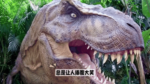 网红恐龙视频