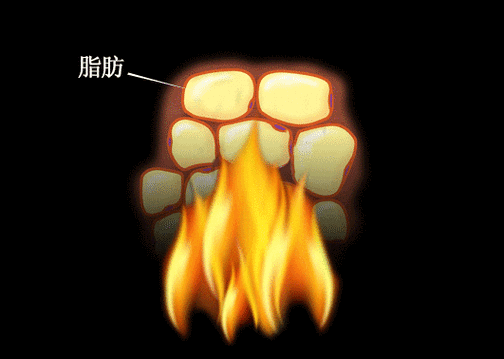 运动多久开始消耗脂肪