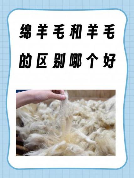 绵羊毛和羊毛一样吗截图3