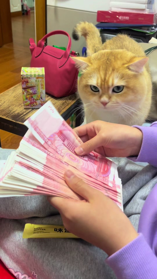 猫送给别人需要包红包吗