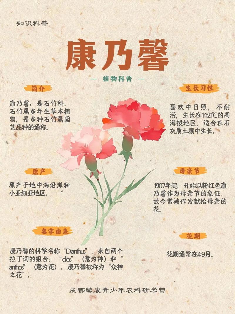 康乃馨最简单折法