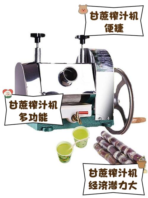 迪哥刷甘蔗机