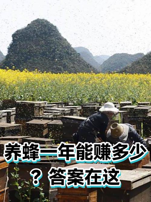 蜂赚真的可以赚钱吗