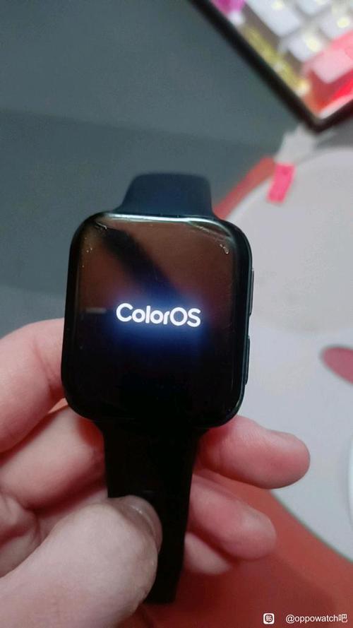 oppo手表watch2连接手机截图3