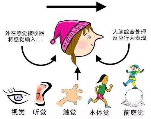 香苞漫画 功能介绍 香苞漫画 功能介绍