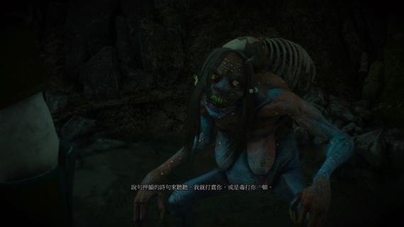 巫师3瞎眼女巫截图2