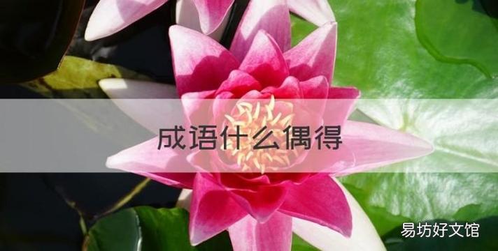偶得四字成语截图3