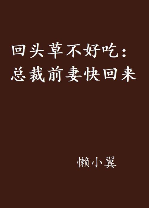 前妻快回来免费阅读