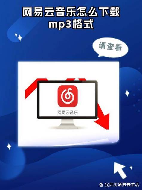 网易云音乐设置自定义皮肤步骤