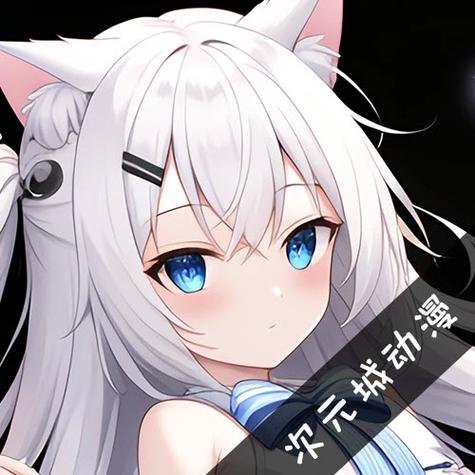 次元城动漫分类
