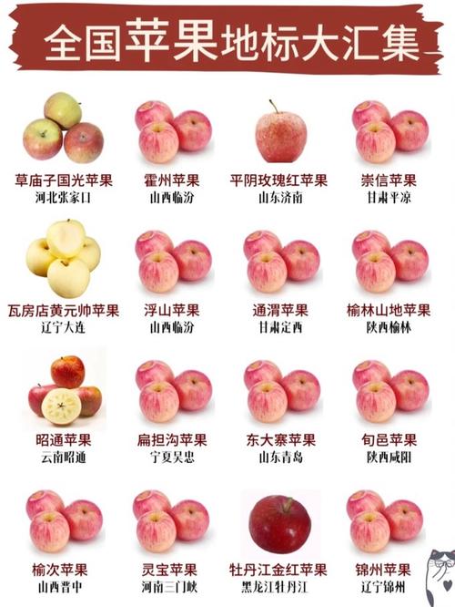 苹果六换屏数据会丢失吗