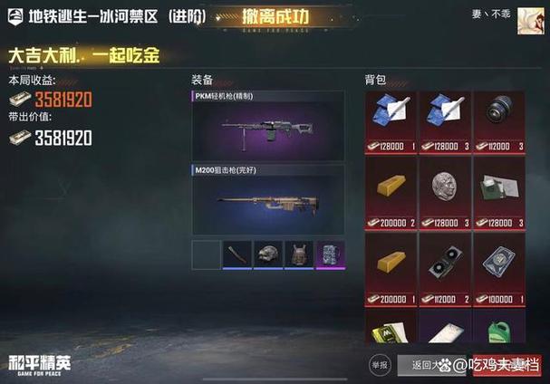 和平精英冰块直装永久免费截图1