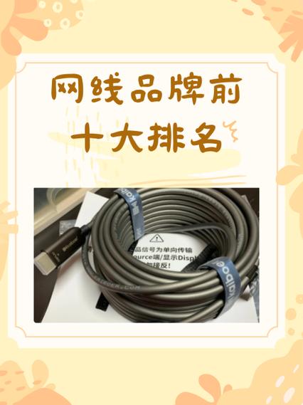 网线最好的品牌排行榜