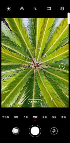 华为手机拍照突然模糊截图3