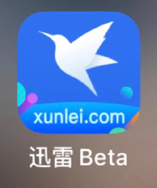 迅雷极速版app安卓版截图2