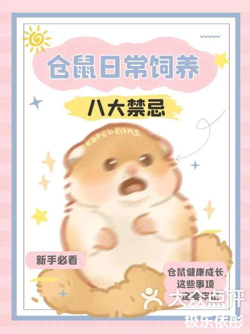 养仓鼠对女人风水大忌