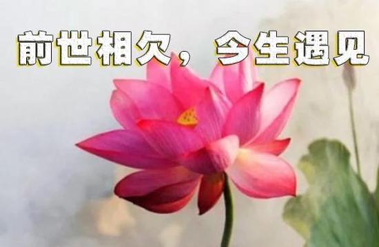 前世今生最经典的一句话