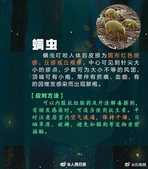 寄生虫怎么处理