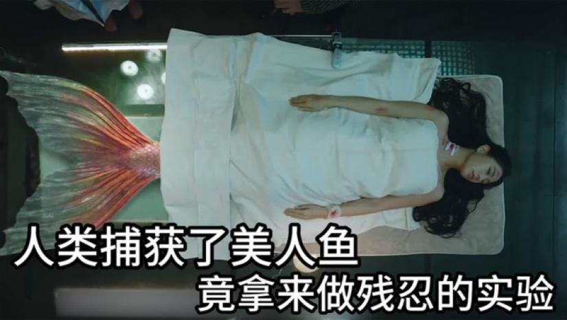 美人鱼被博士抓去实验
