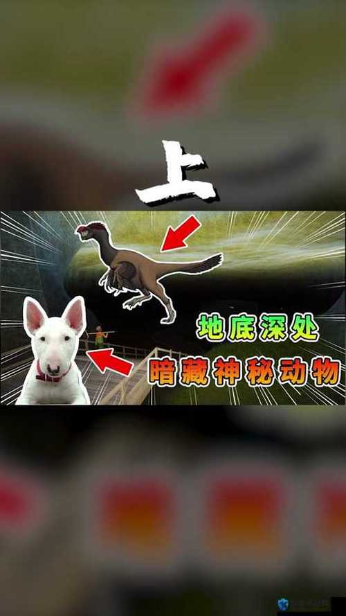 动物园之星动物逃脱