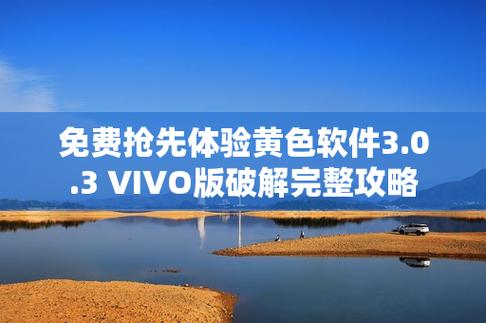 3.0.3免费vivo版破解版截图1