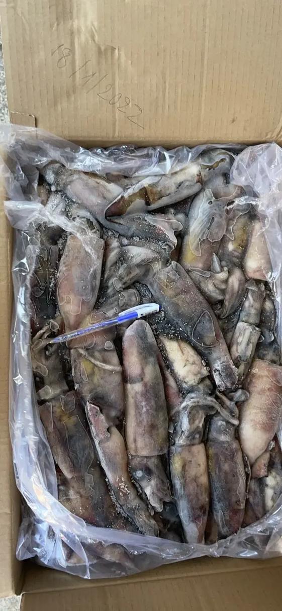鱿鱼厂家联系方式