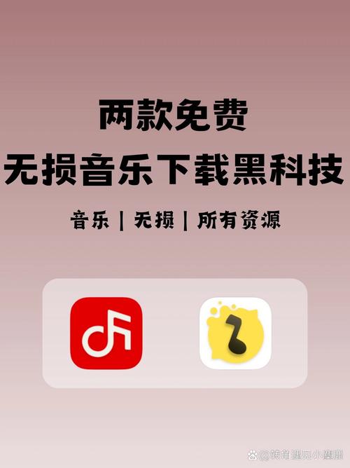 vv音乐旧版本下载截图3