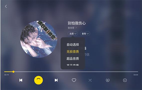 酷我音乐车机共存版 酷我音乐车机共存版