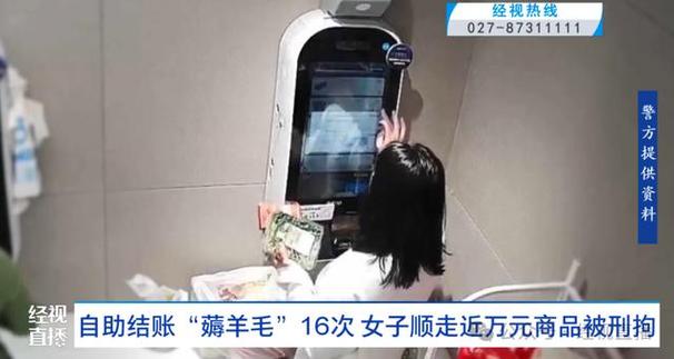 薅羊毛500元被警察抓了怎么处理截图2