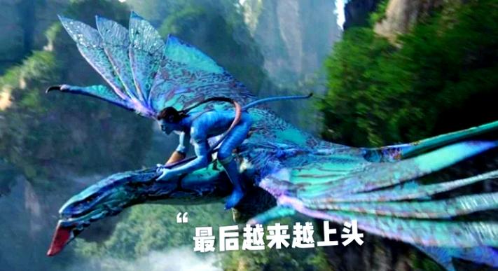 阿凡达10 阿凡达10