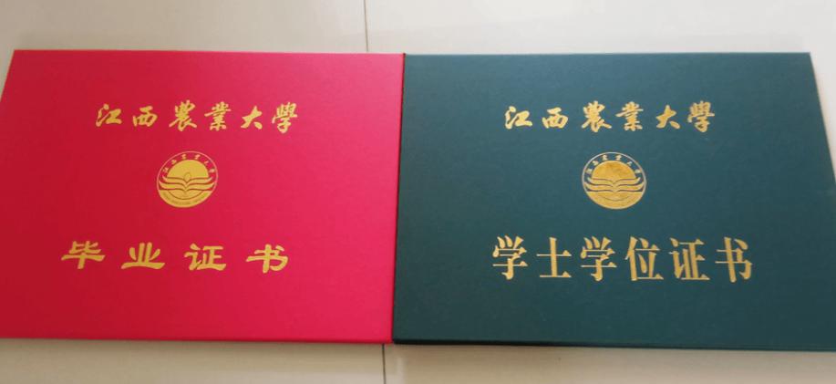 大学可以考的证书有哪些