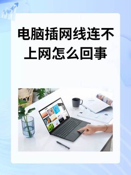 主机插上网线没有网络截图3