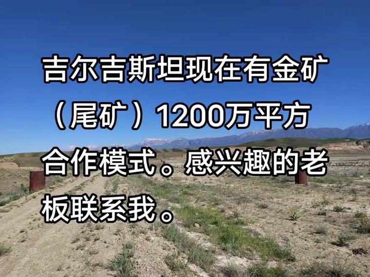 DDAM矿池合法吗