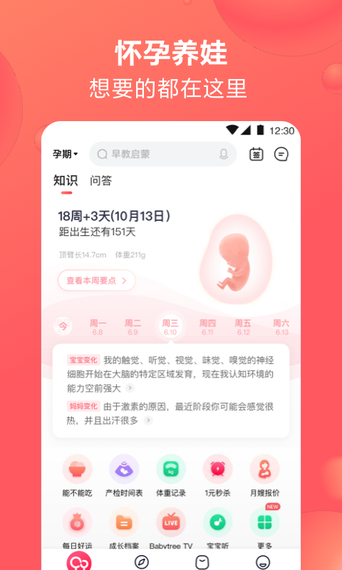 宝宝孕育树免费下载