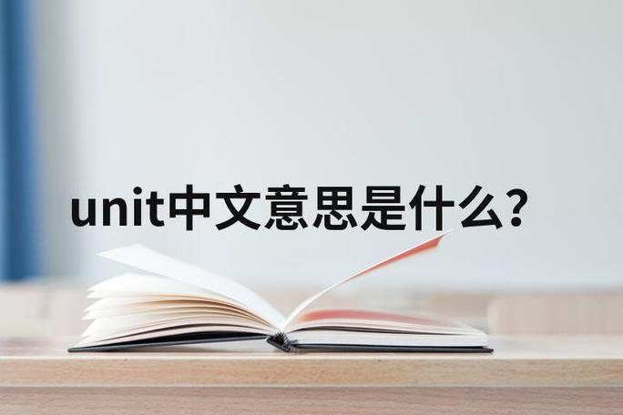 中文意思